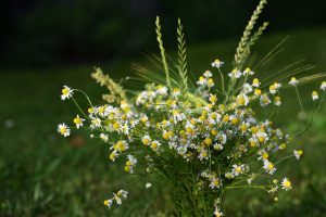 Heilpraktikerin Hannover Davenstedt